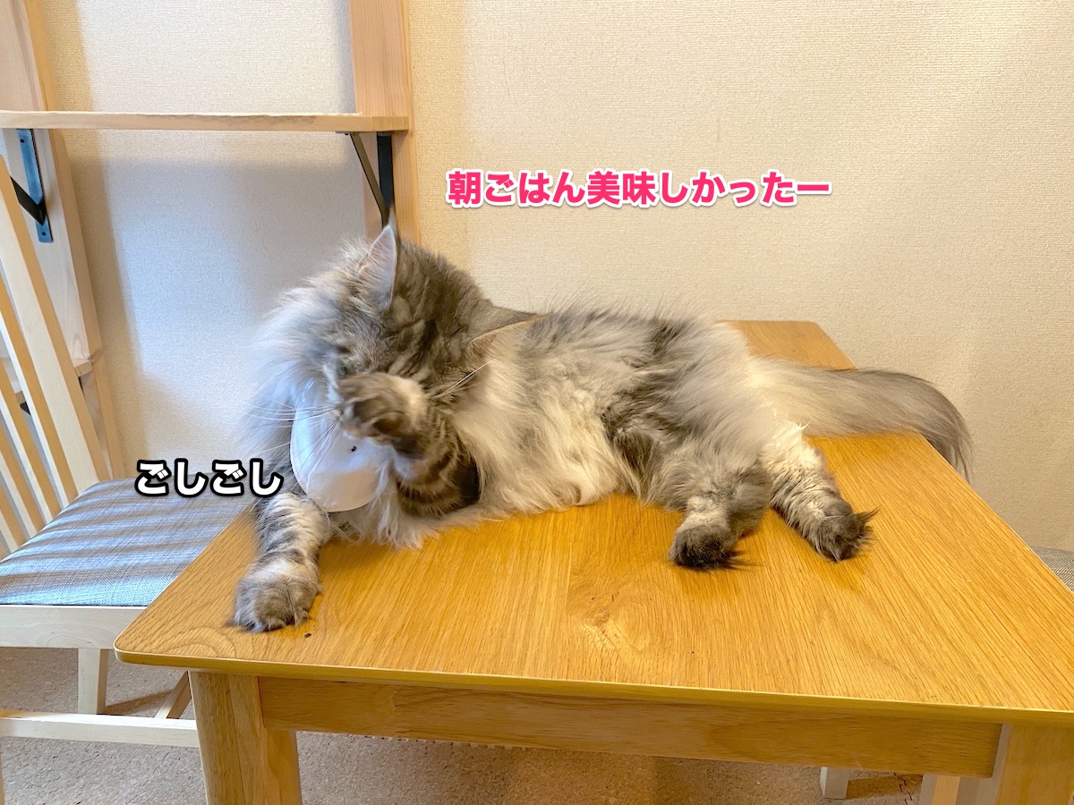f:id:chikojirou:20200830221440j:plain