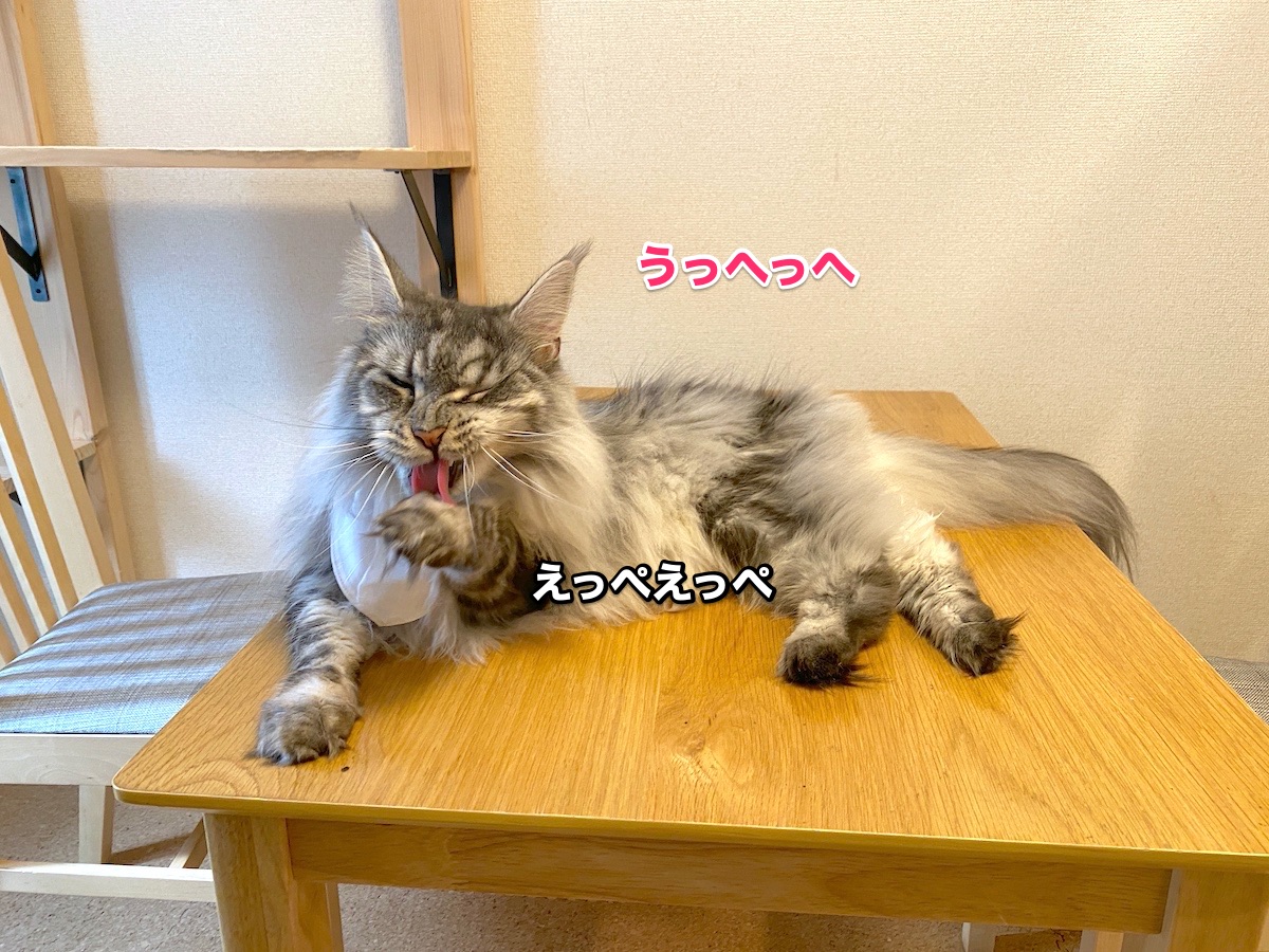 f:id:chikojirou:20200830221443j:plain