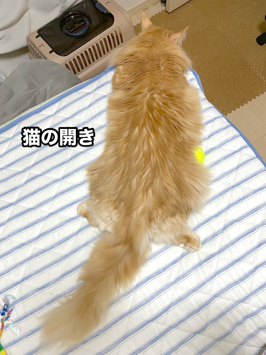 f:id:chikojirou:20200830221447j:plain