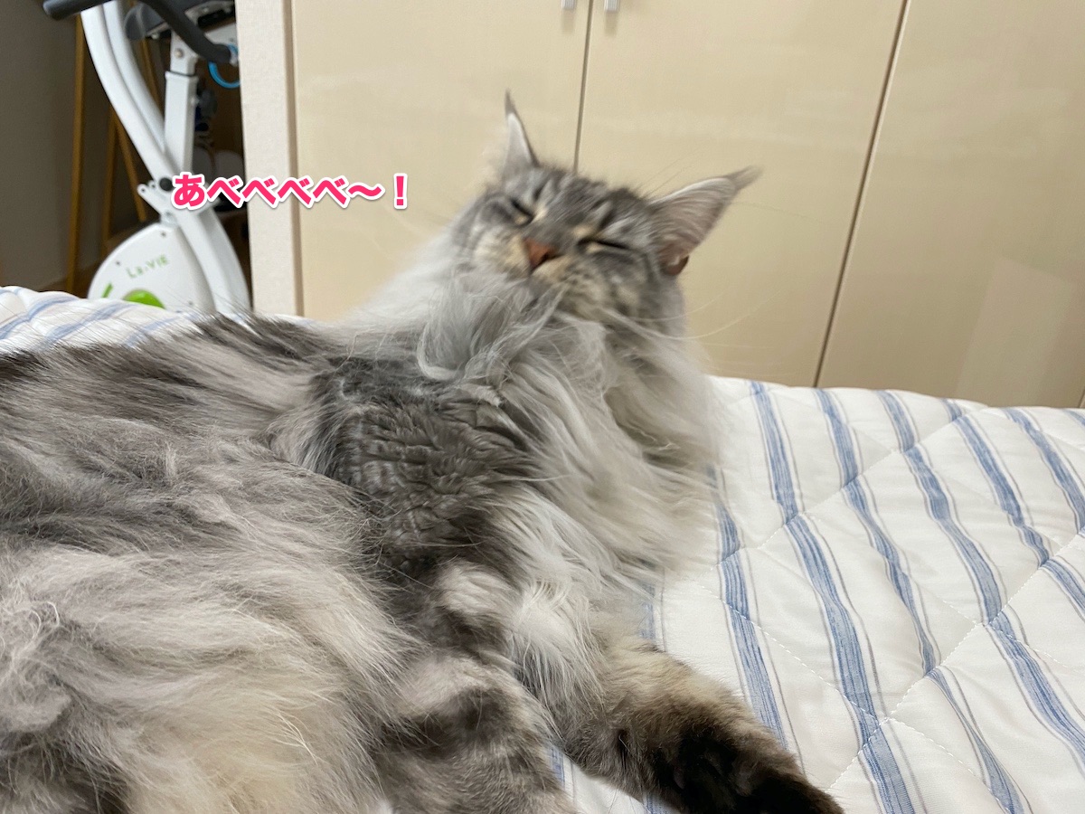 f:id:chikojirou:20200831203051j:plain