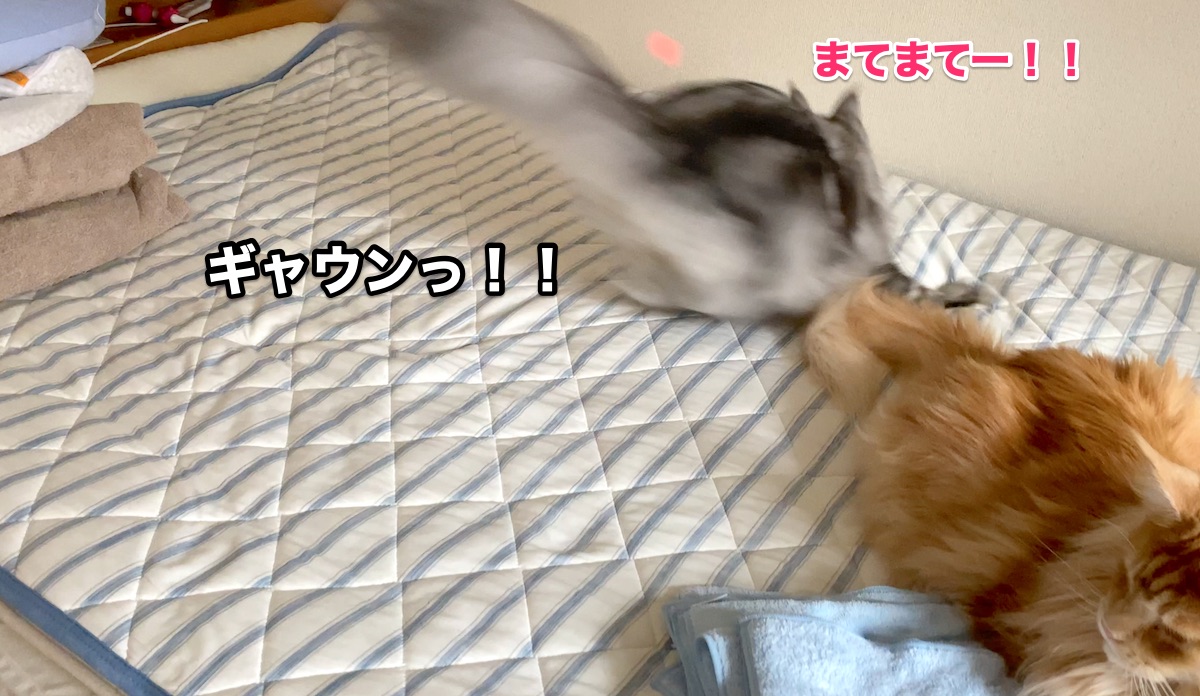 f:id:chikojirou:20200901220940j:plain