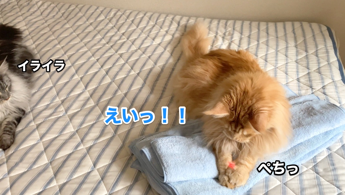 f:id:chikojirou:20200901220944j:plain