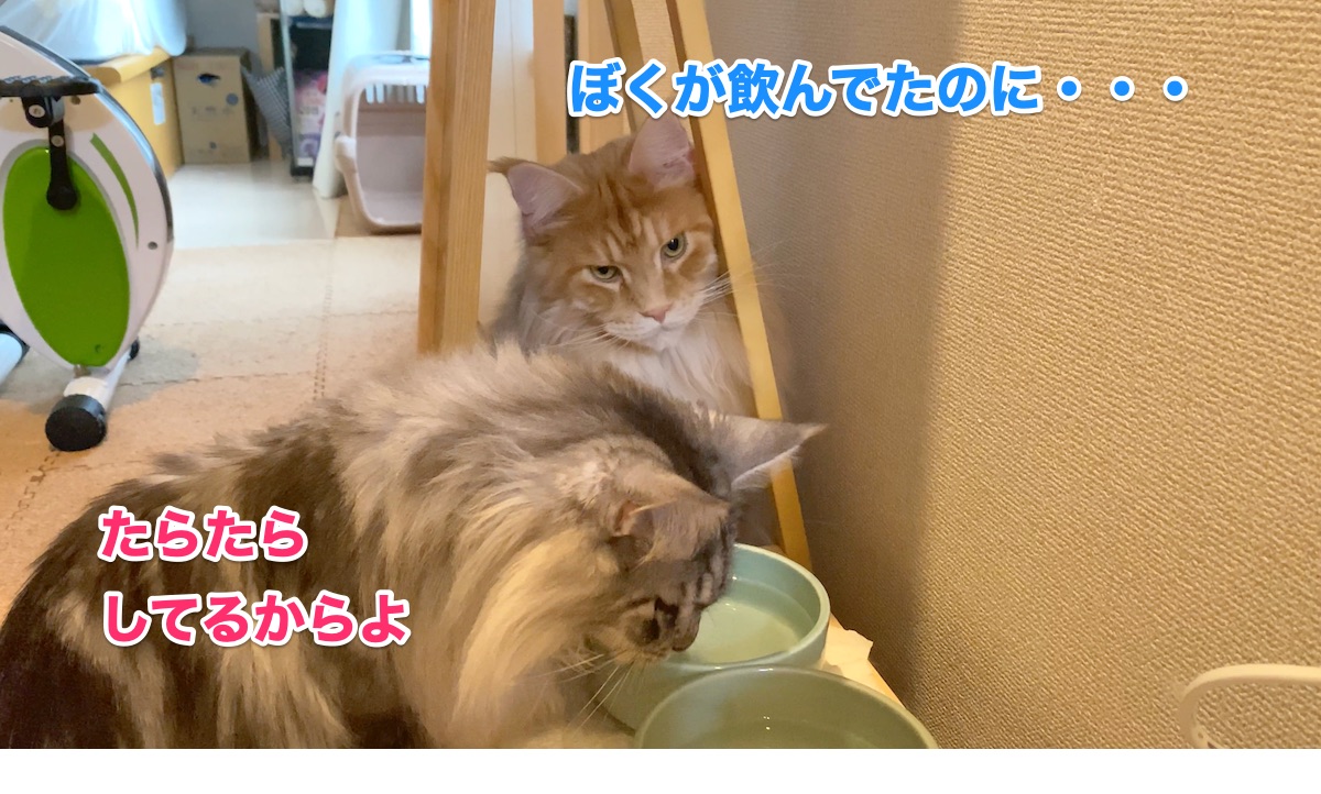 f:id:chikojirou:20200901220948j:plain