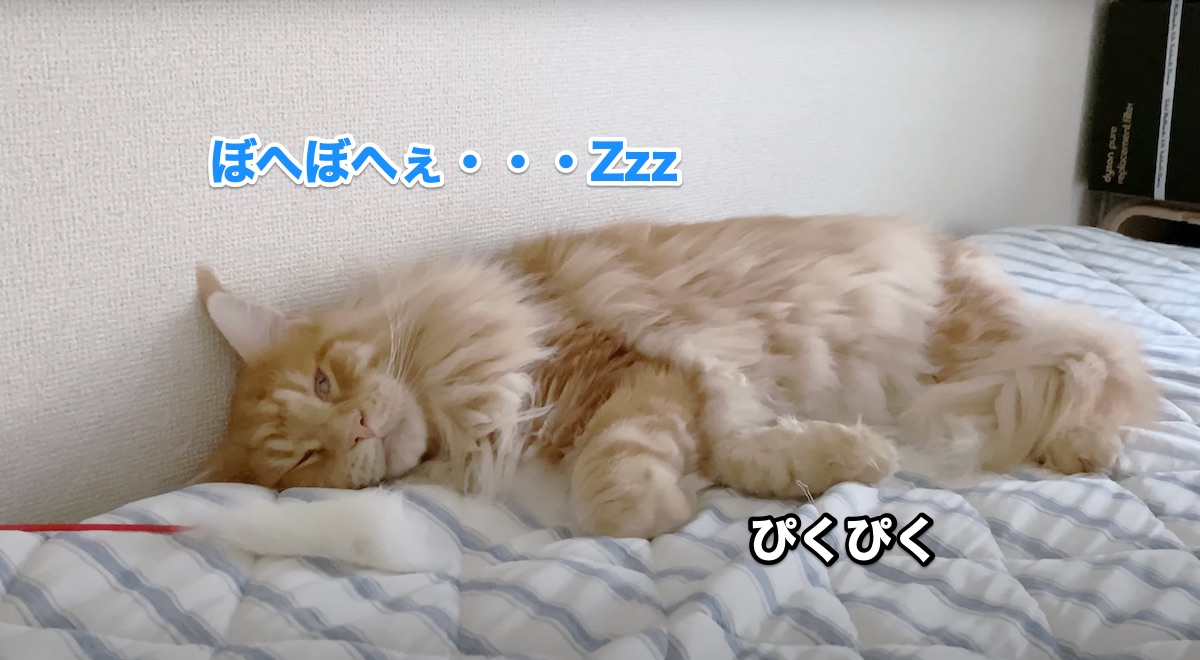 f:id:chikojirou:20200901220951j:plain