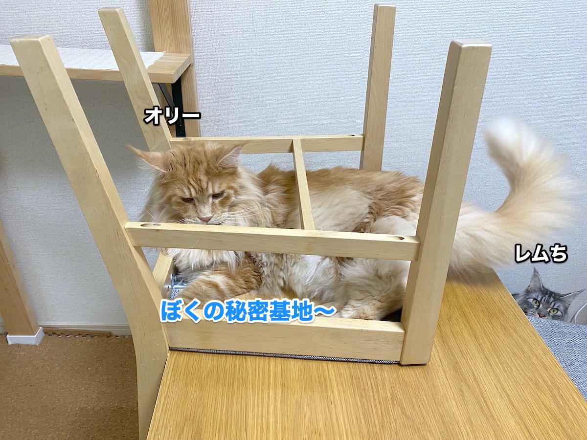 f:id:chikojirou:20200902203644j:plain