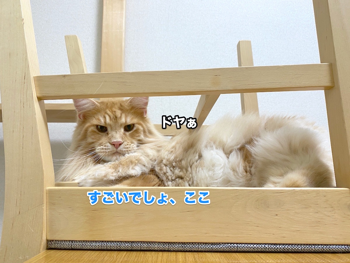 f:id:chikojirou:20200902203647j:plain