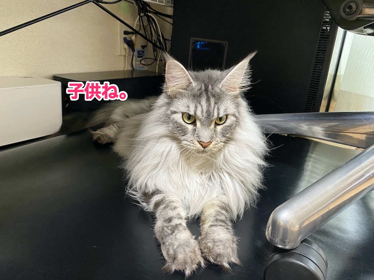f:id:chikojirou:20200902203655j:plain