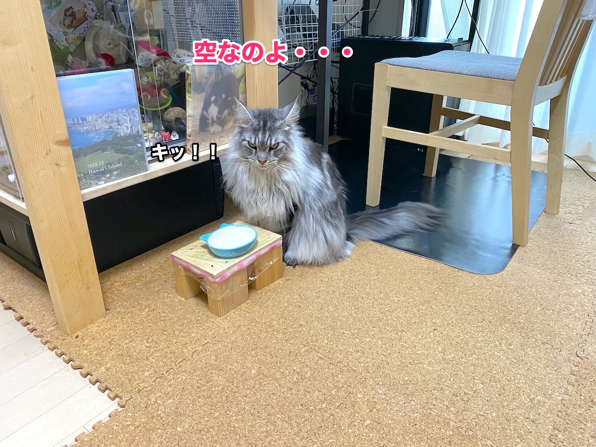 f:id:chikojirou:20200902203702j:plain