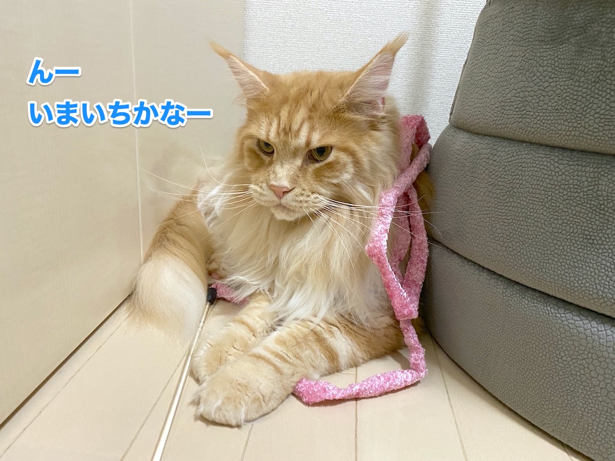 f:id:chikojirou:20200902203706j:plain