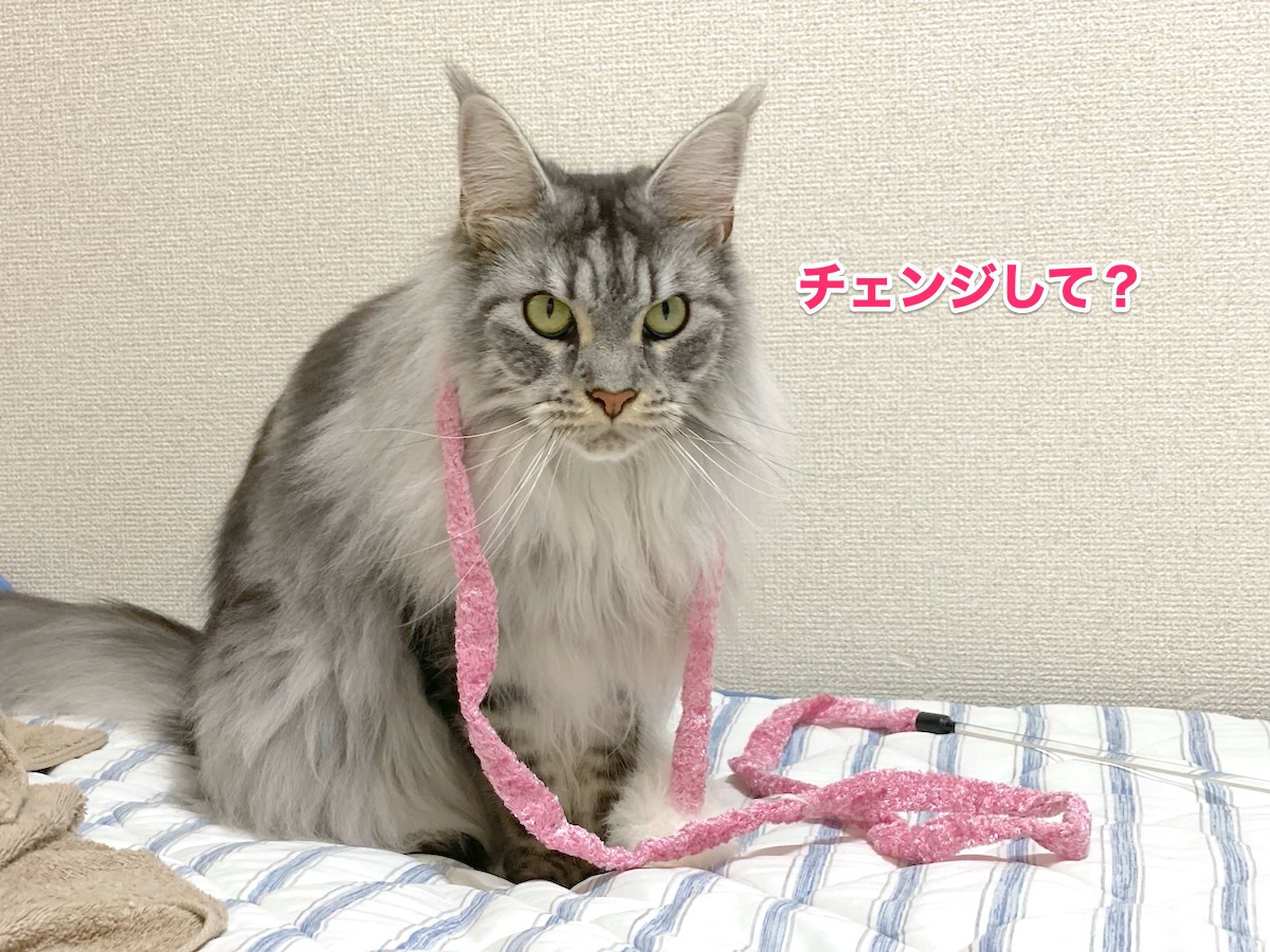 f:id:chikojirou:20200902203718j:plain