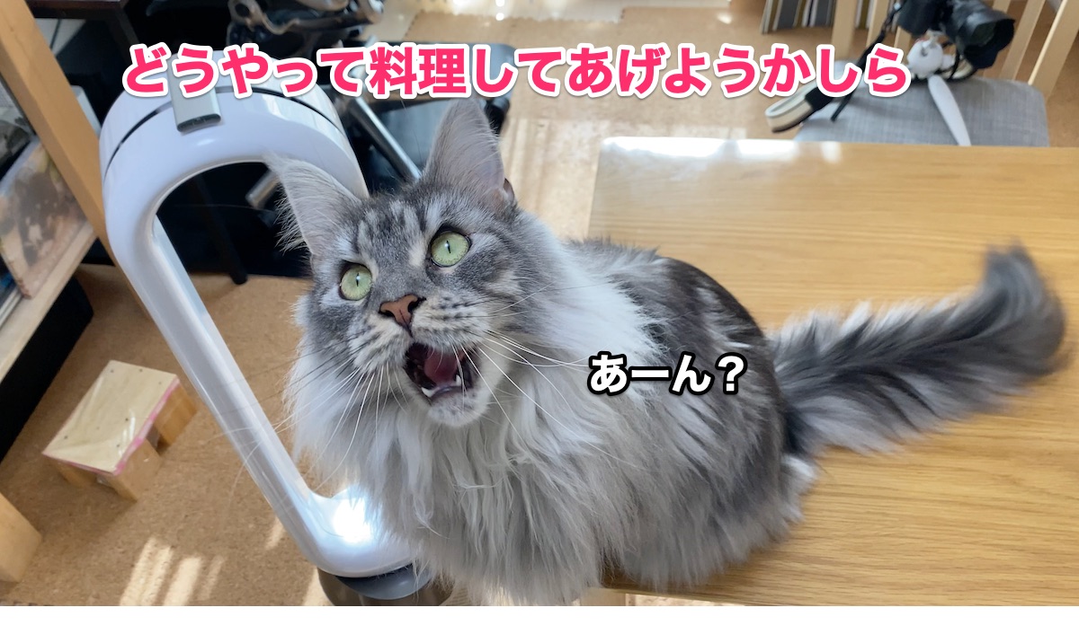 f:id:chikojirou:20200903210219j:plain