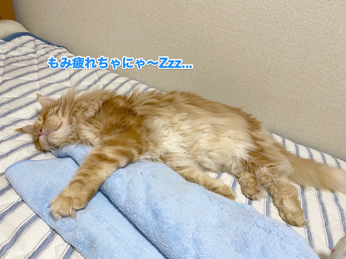 f:id:chikojirou:20200905202010j:plain