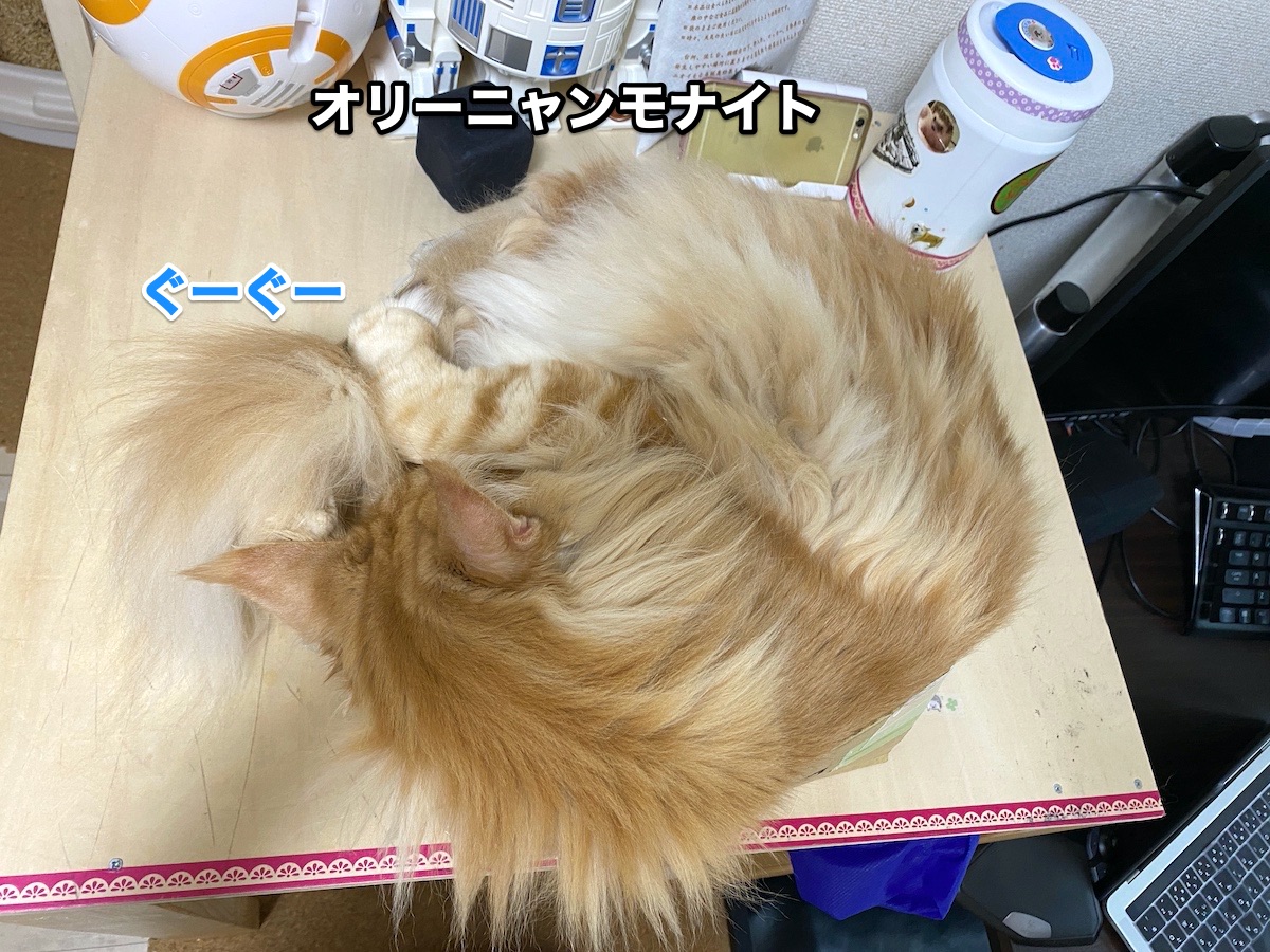f:id:chikojirou:20200907204319j:plain