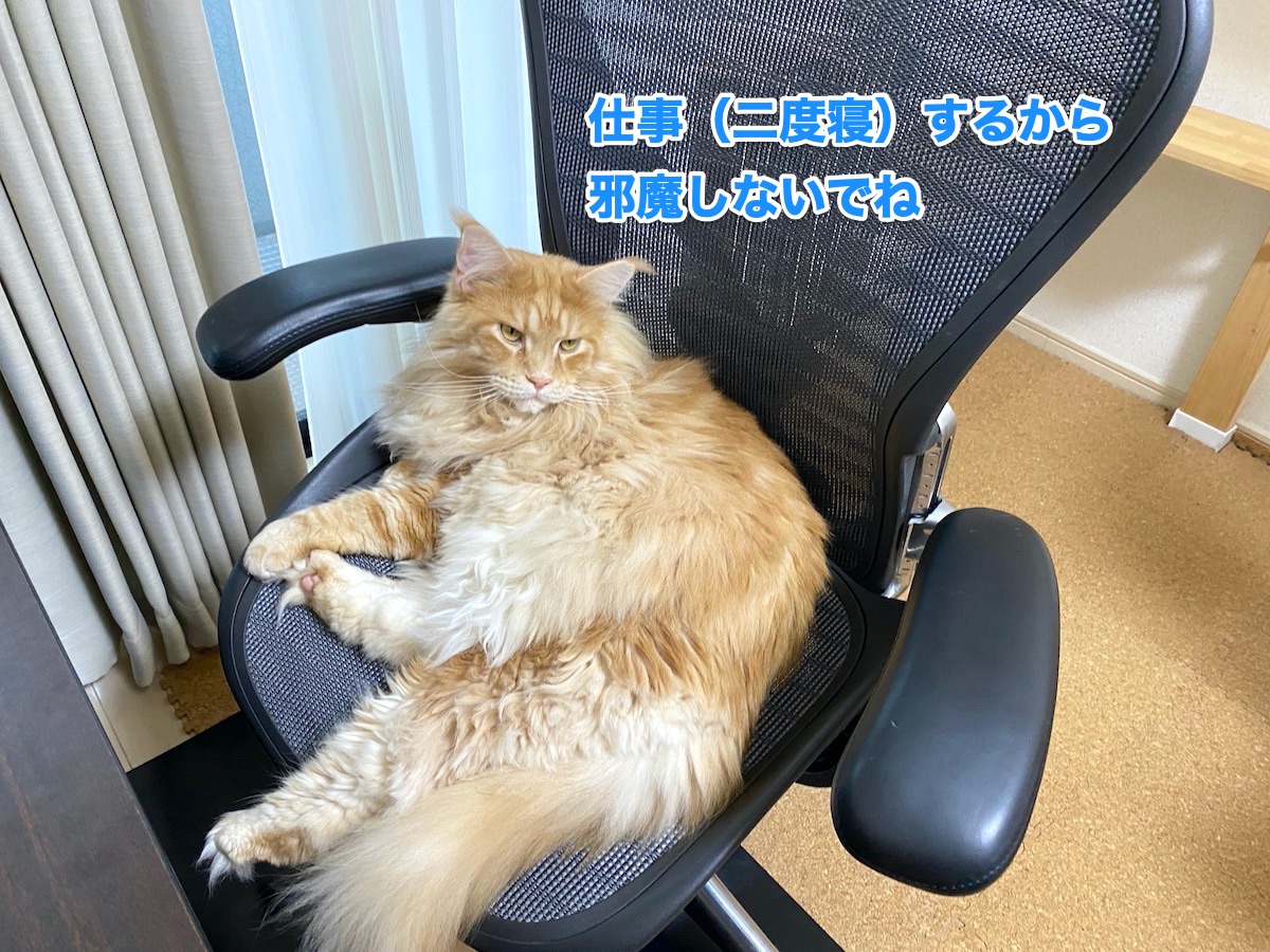 f:id:chikojirou:20200909204702j:plain