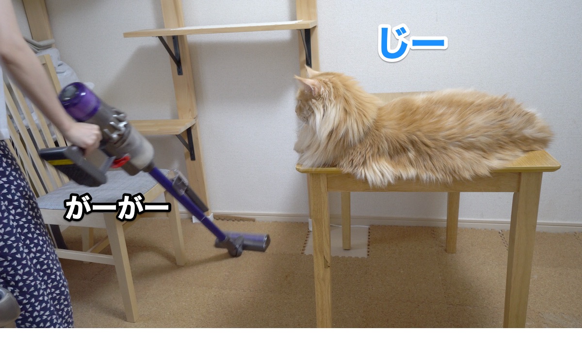 f:id:chikojirou:20200911205344j:plain f:id:chikojirou:20200911205344j:plain