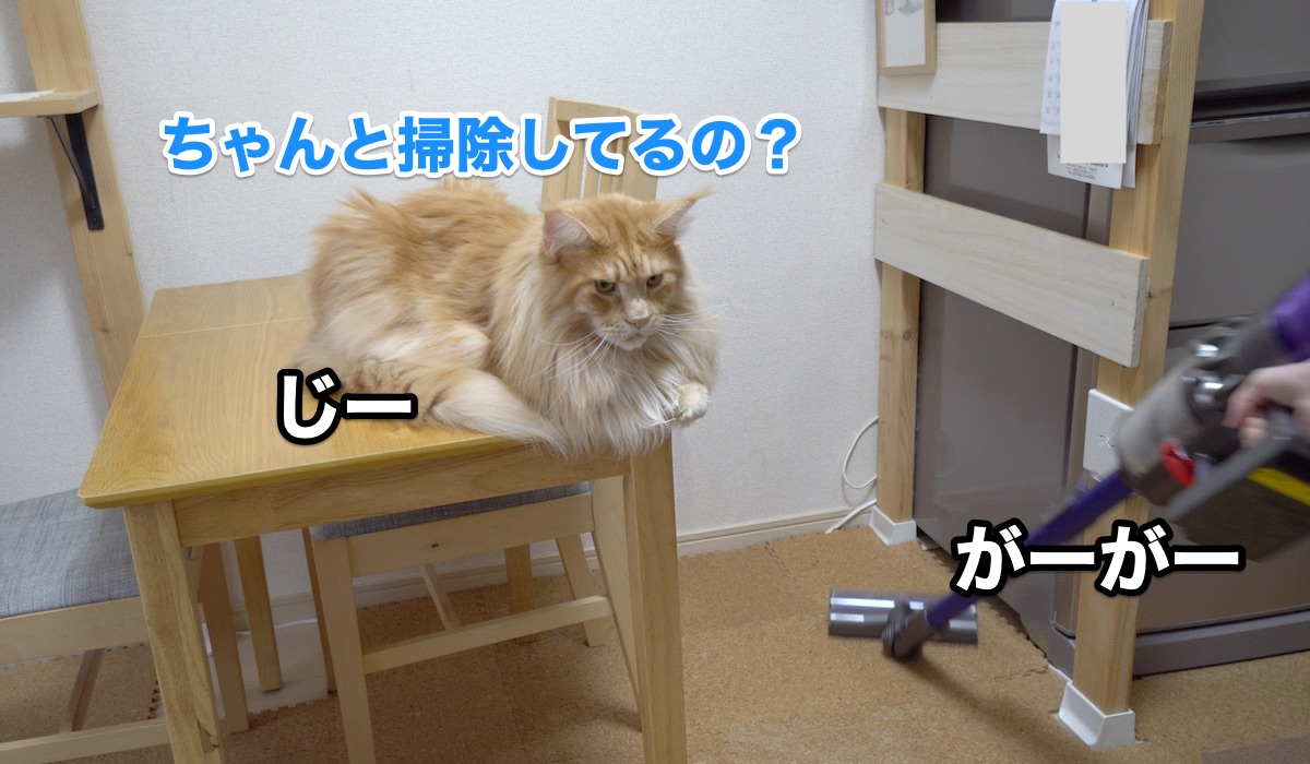 f:id:chikojirou:20200911205347j:plain f:id:chikojirou:20200911205347j:plain