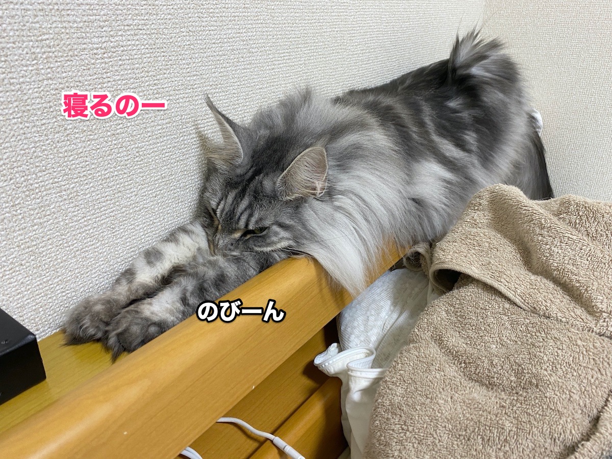 f:id:chikojirou:20200913205416j:plain f:id:chikojirou:20200913205416j:plain