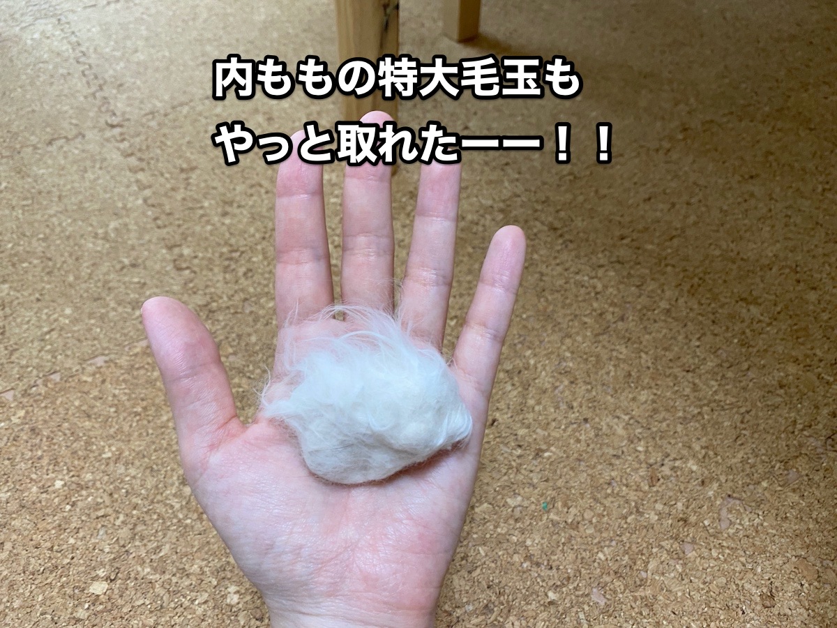 f:id:chikojirou:20200913205446j:plain f:id:chikojirou:20200913205446j:plain