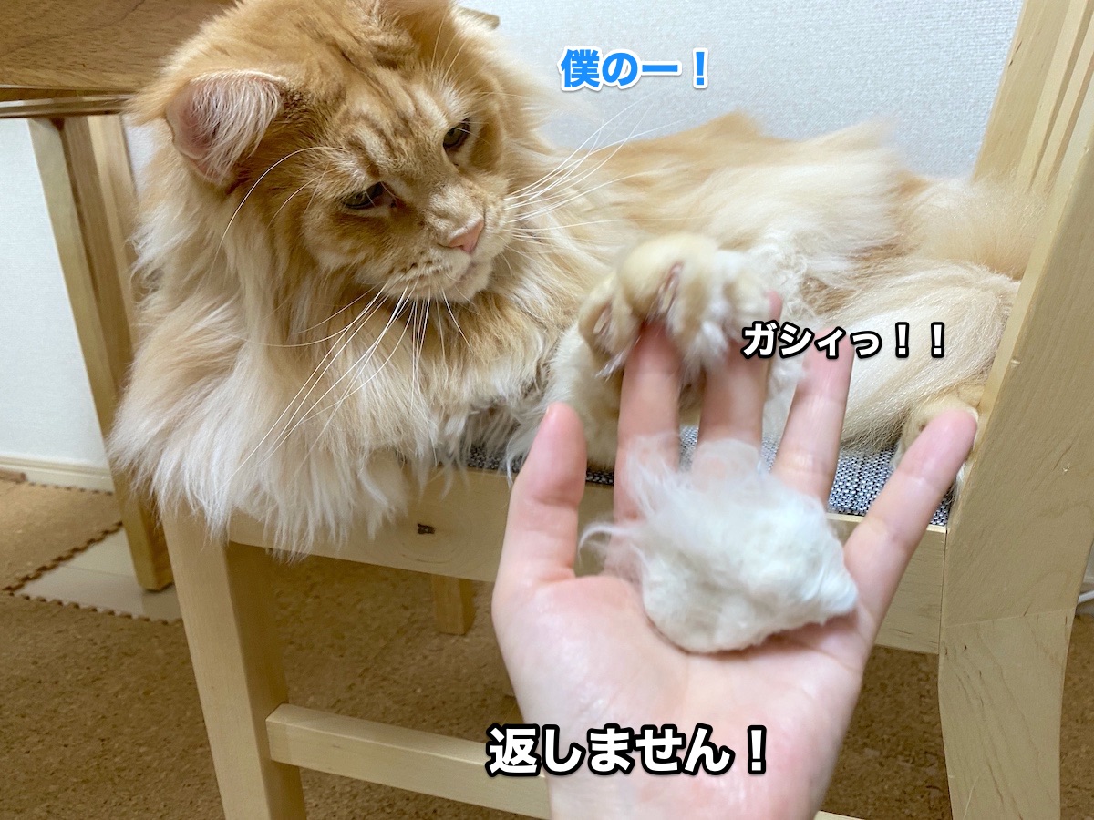 f:id:chikojirou:20200913205449j:plain f:id:chikojirou:20200913205449j:plain