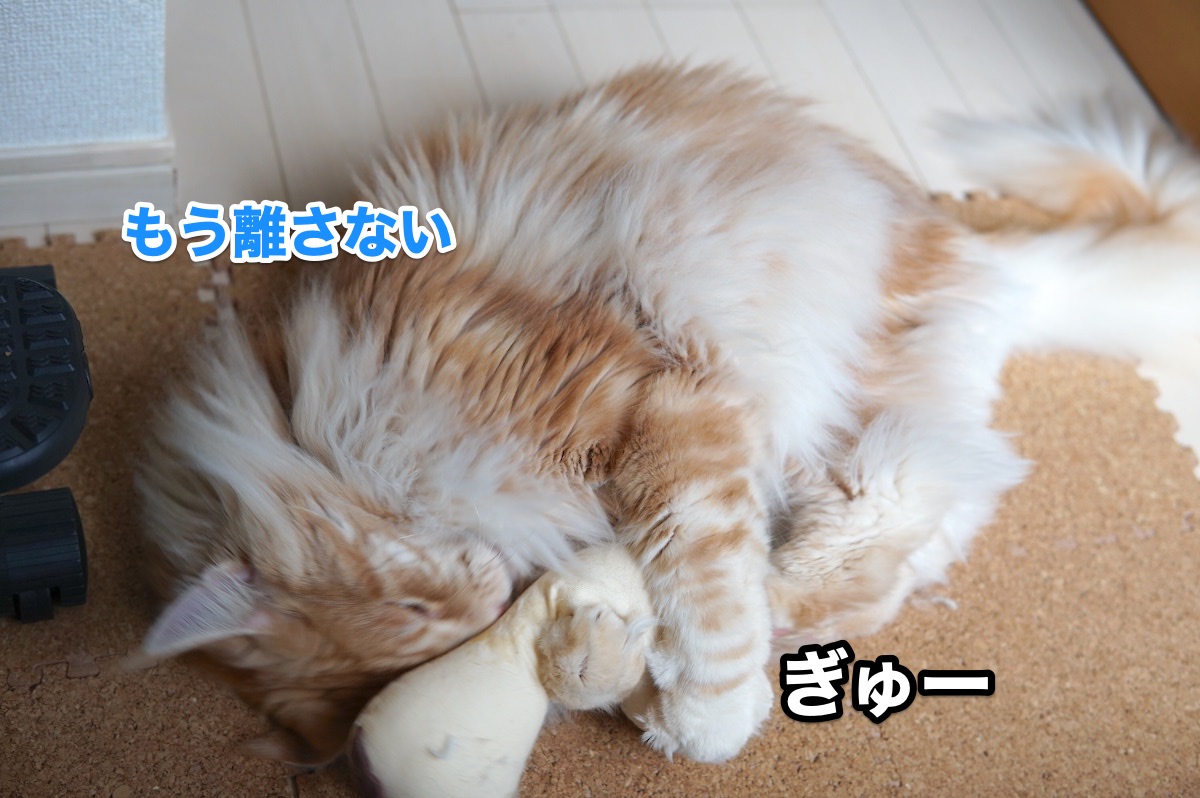 f:id:chikojirou:20200916202419j:plain