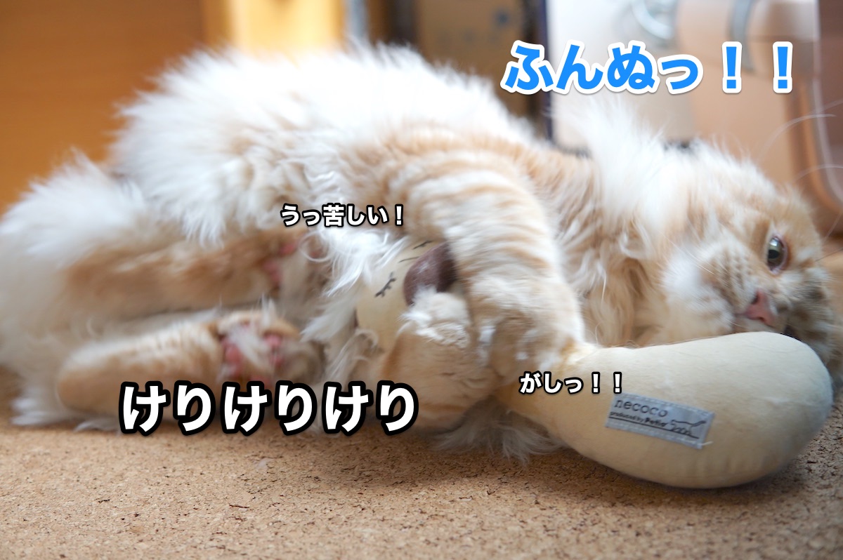 f:id:chikojirou:20200916202427j:plain
