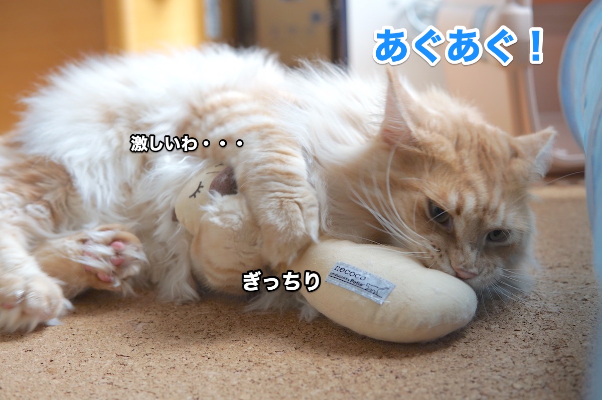 f:id:chikojirou:20200916202430j:plain
