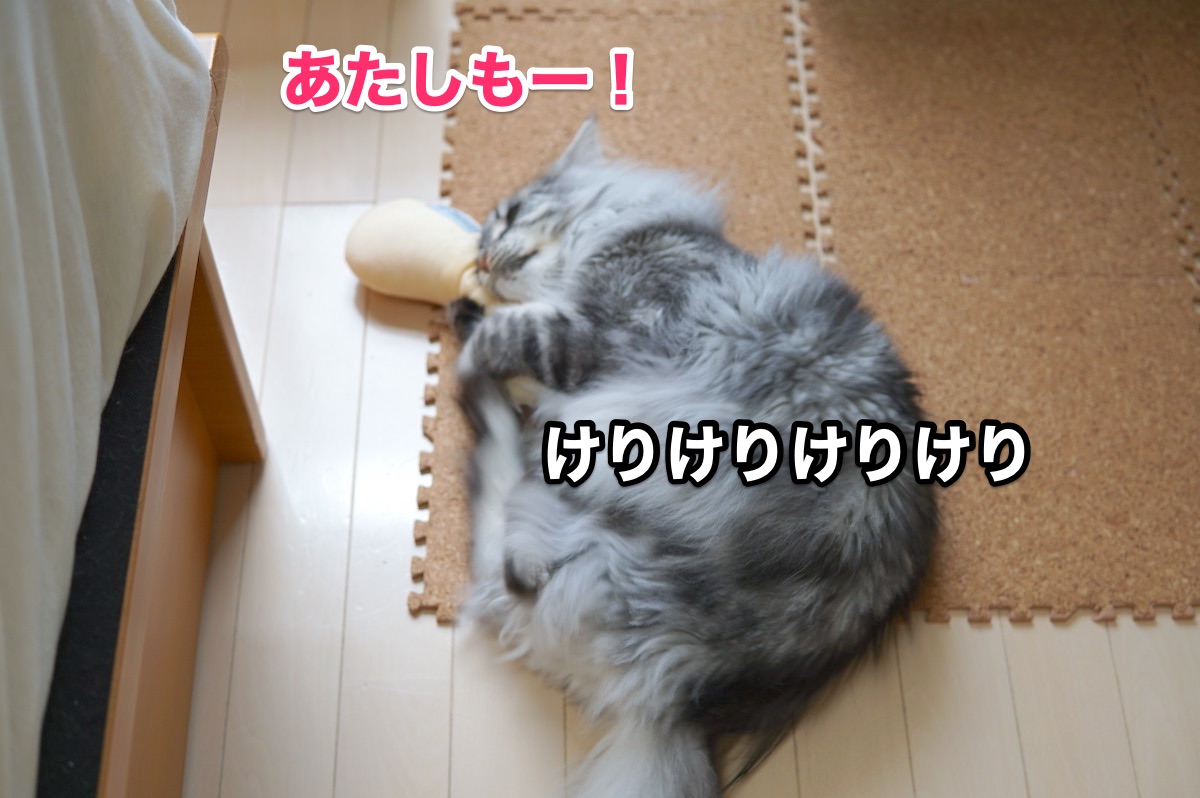 f:id:chikojirou:20200916202440j:plain