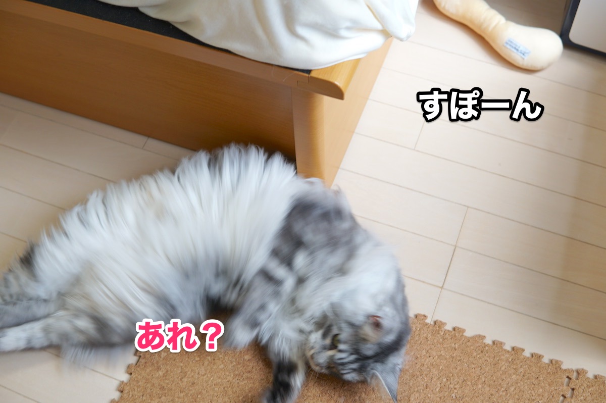 f:id:chikojirou:20200916202444j:plain