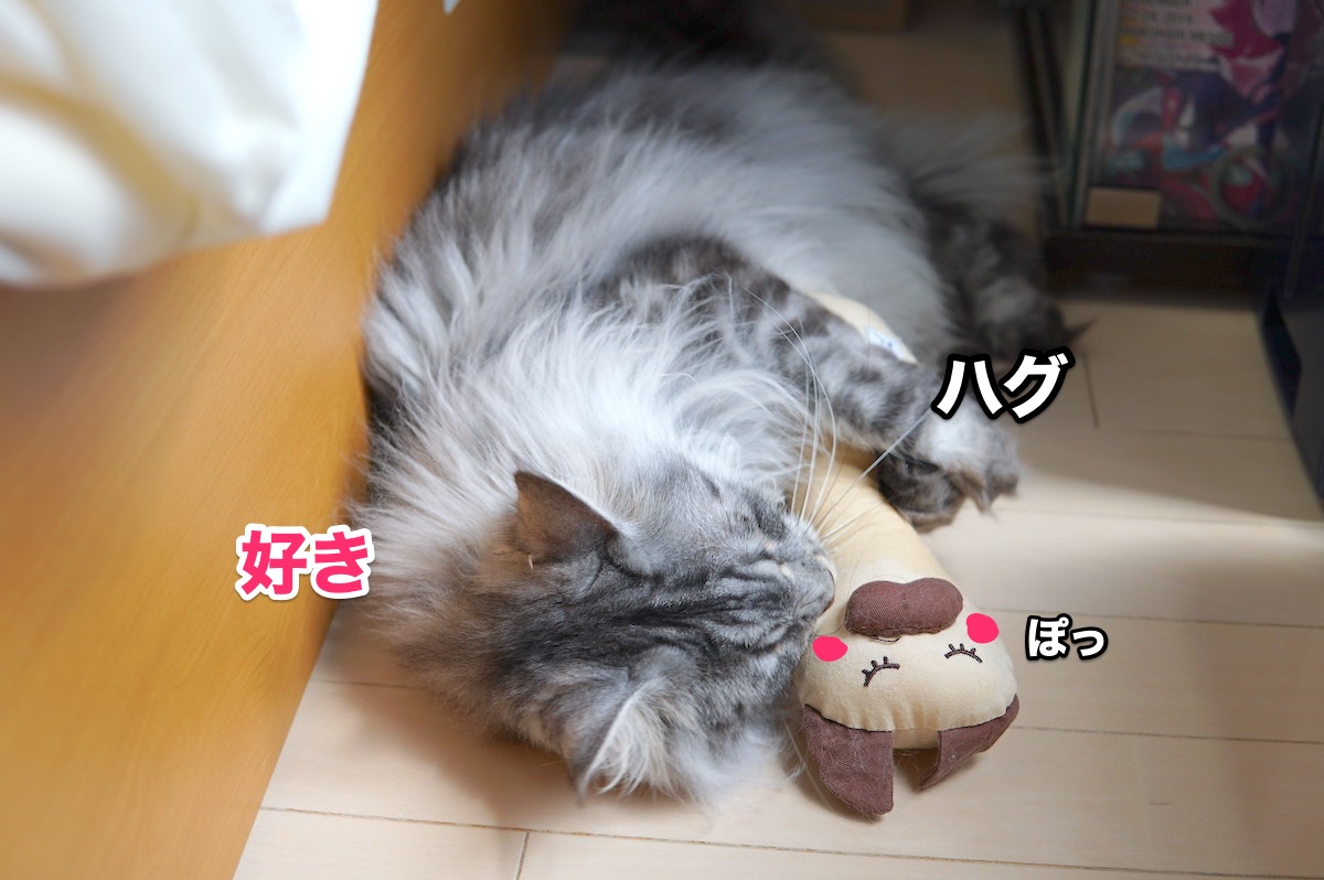 f:id:chikojirou:20200916202447j:plain