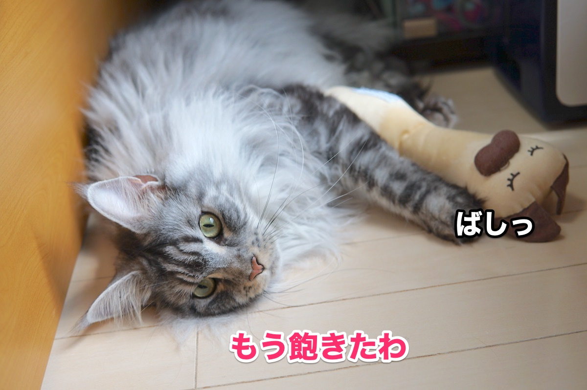 f:id:chikojirou:20200916202455j:plain