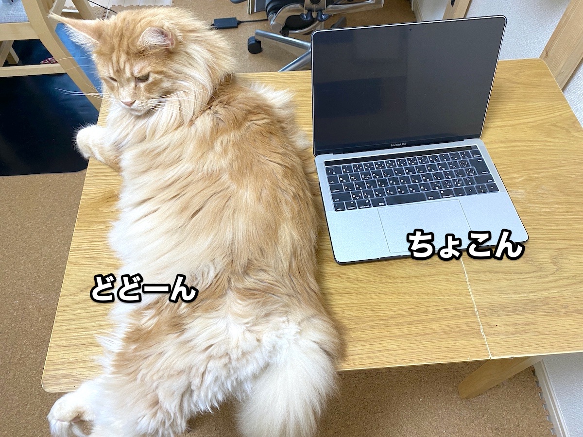 f:id:chikojirou:20200916202500j:plain