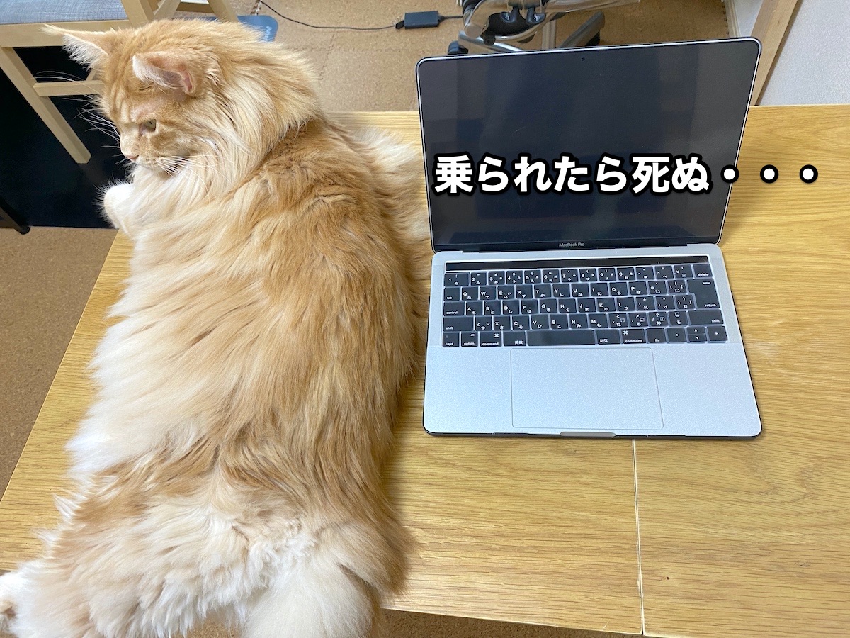 f:id:chikojirou:20200916202505j:plain