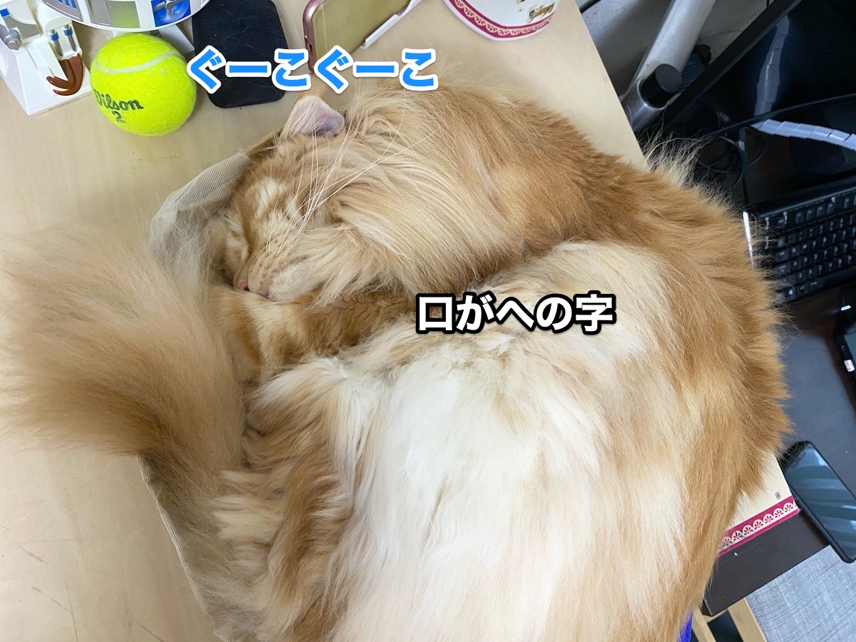 f:id:chikojirou:20200917201919j:plain