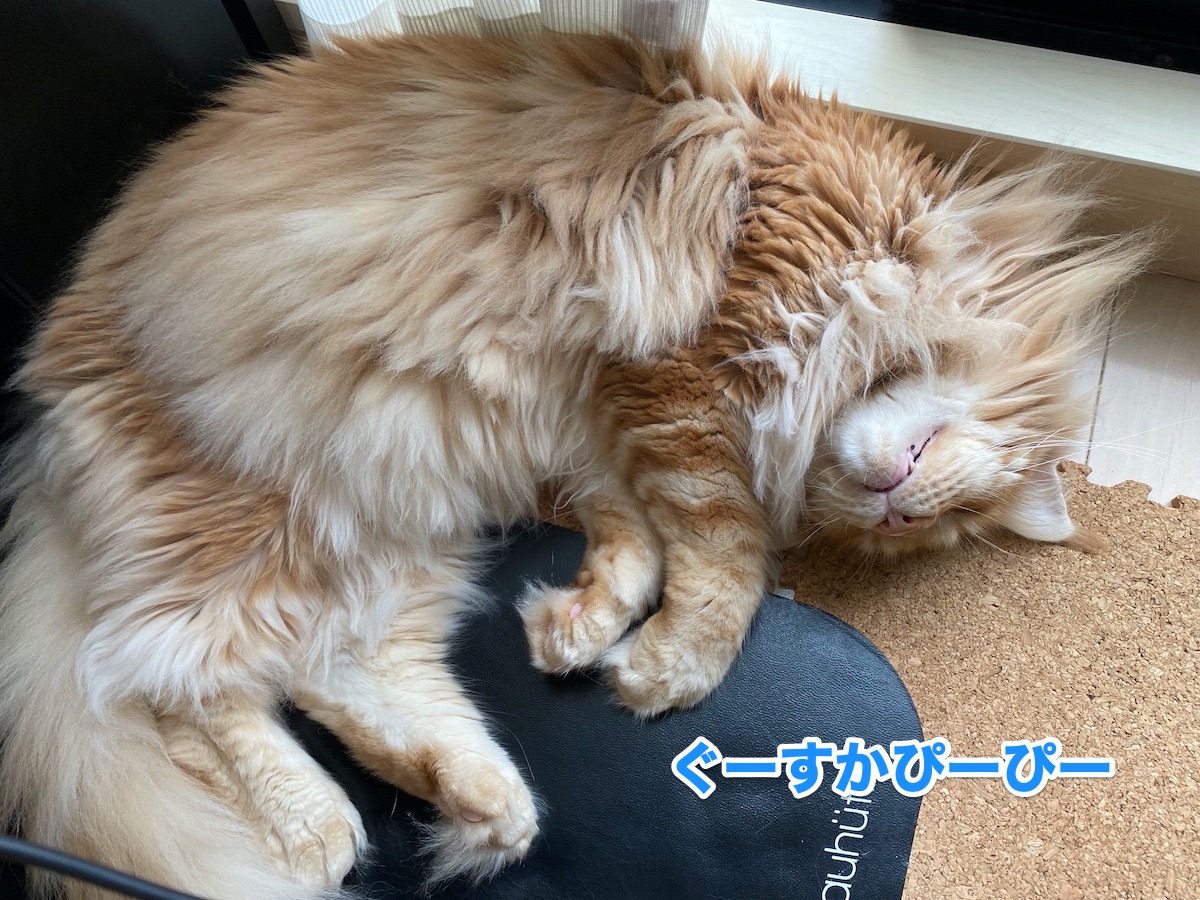 f:id:chikojirou:20200917201923j:plain