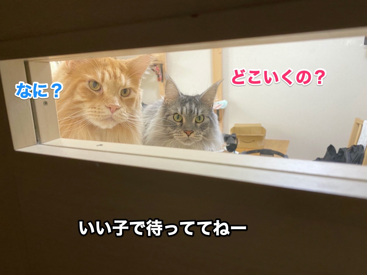 f:id:chikojirou:20200917201927j:plain