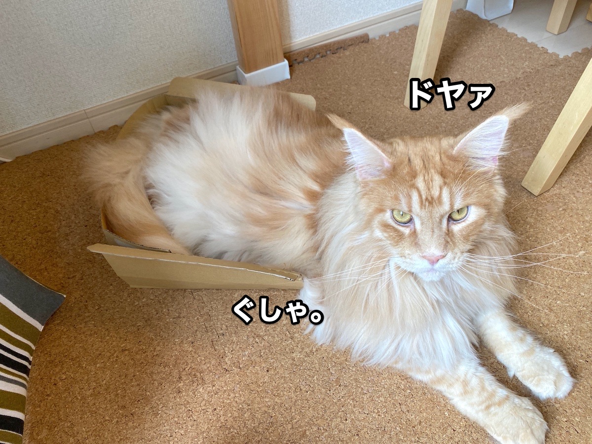 f:id:chikojirou:20200917201939j:plain