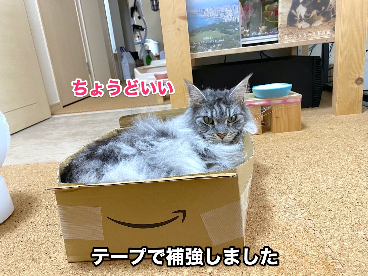 f:id:chikojirou:20200917201943j:plain
