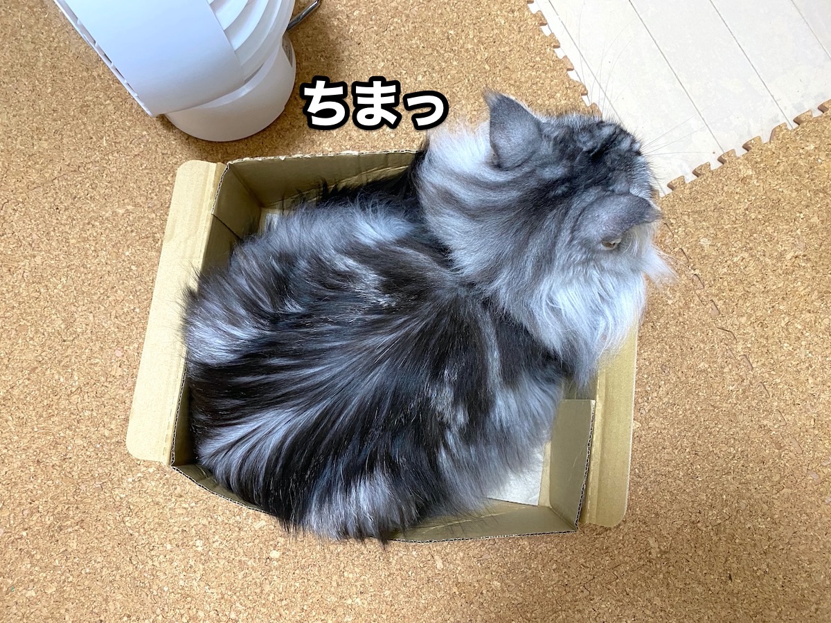 f:id:chikojirou:20200917201948j:plain