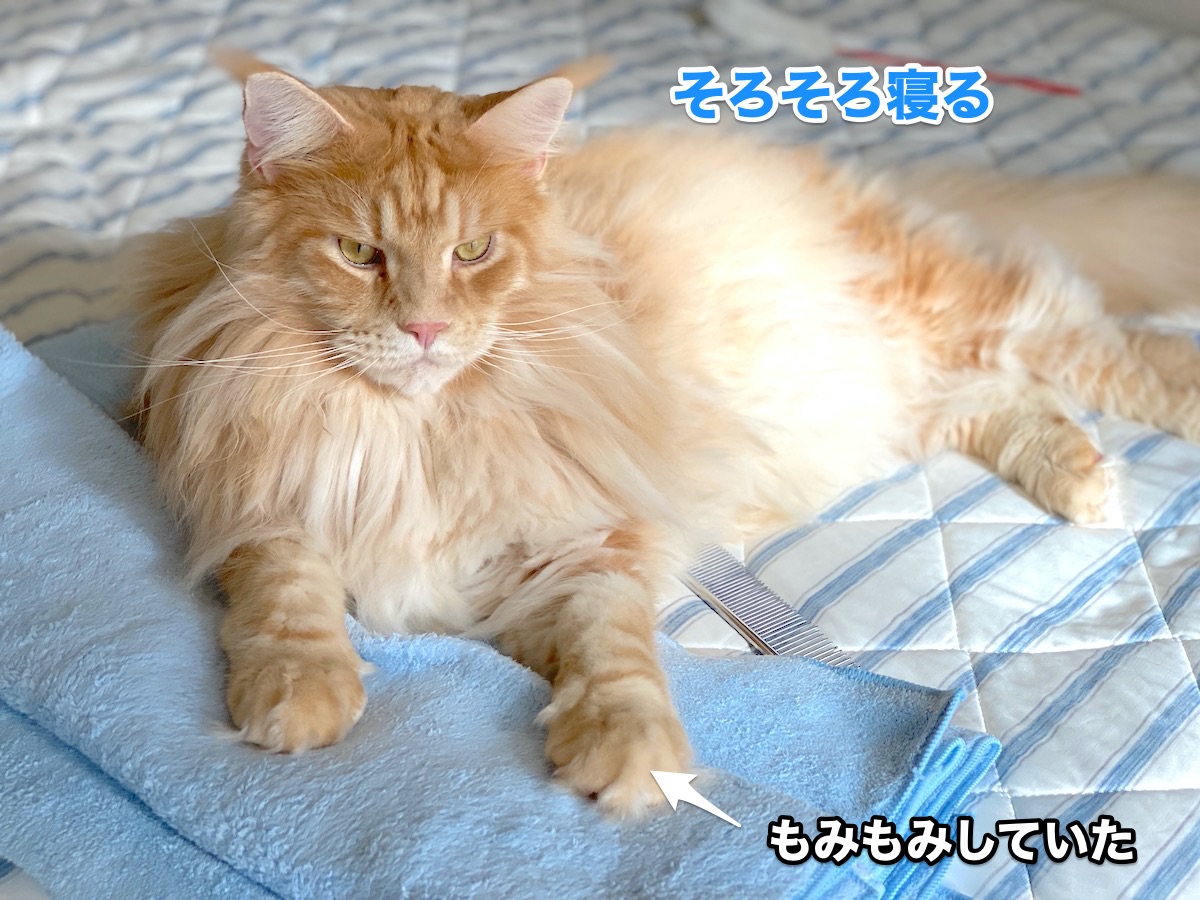 f:id:chikojirou:20200918211027j:plain