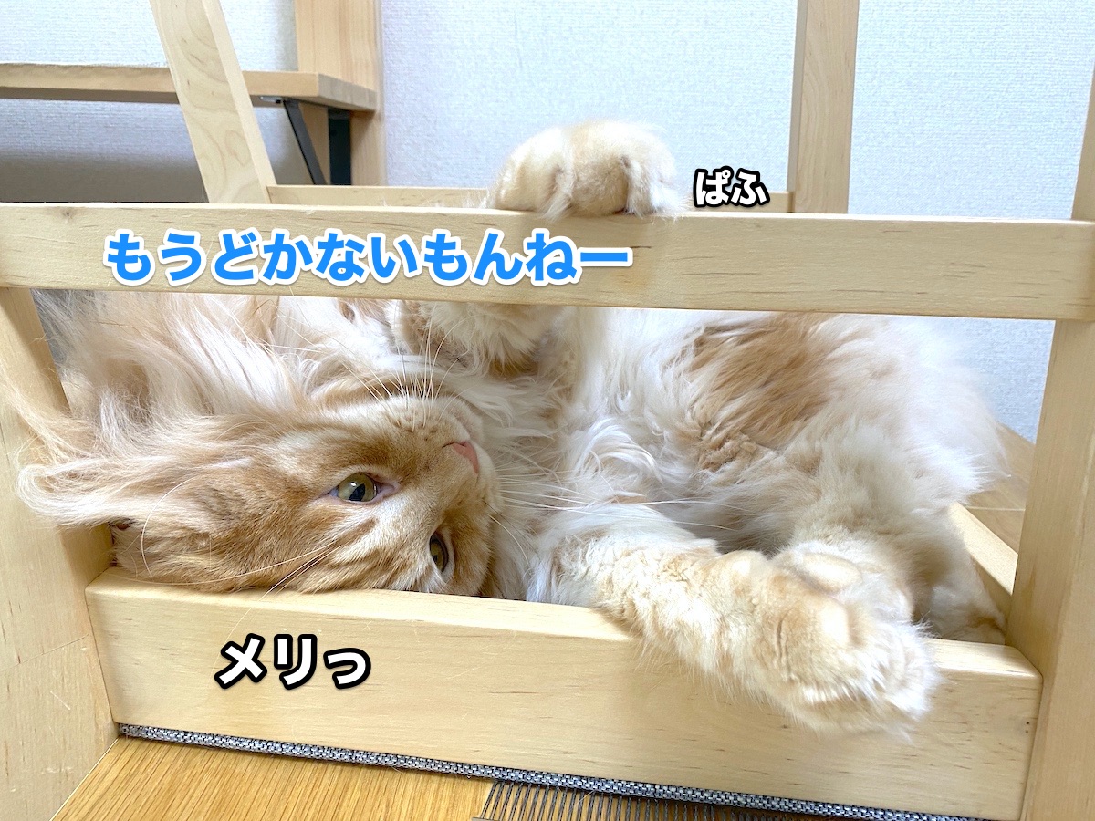 f:id:chikojirou:20200919204730j:plain