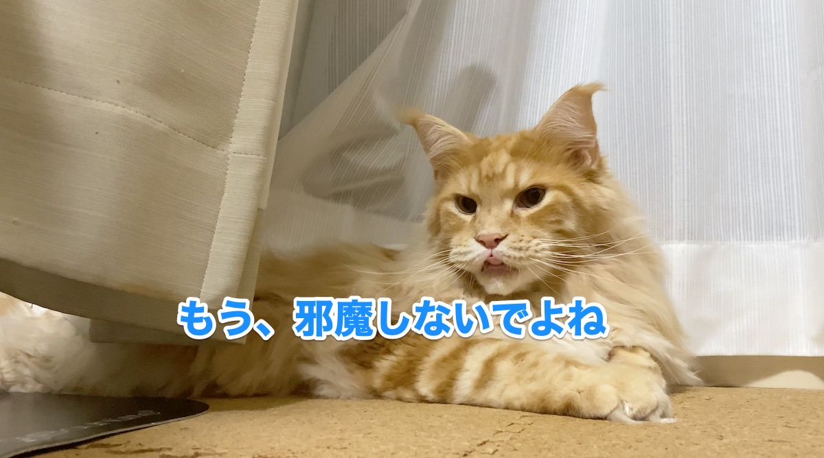 f:id:chikojirou:20200920214809j:plain
