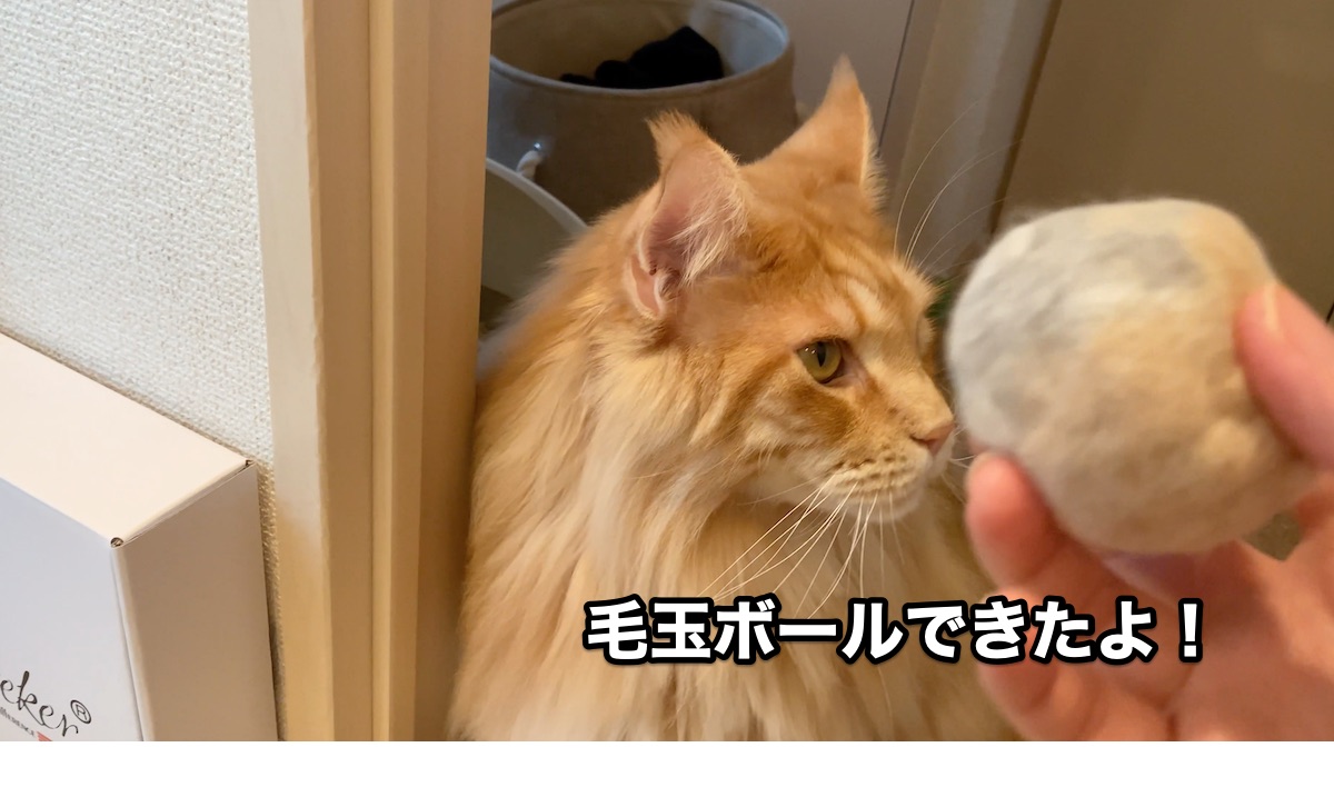 f:id:chikojirou:20200920214821j:plain