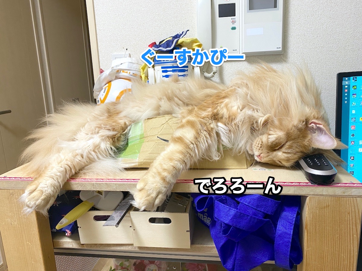 f:id:chikojirou:20200921195932j:plain