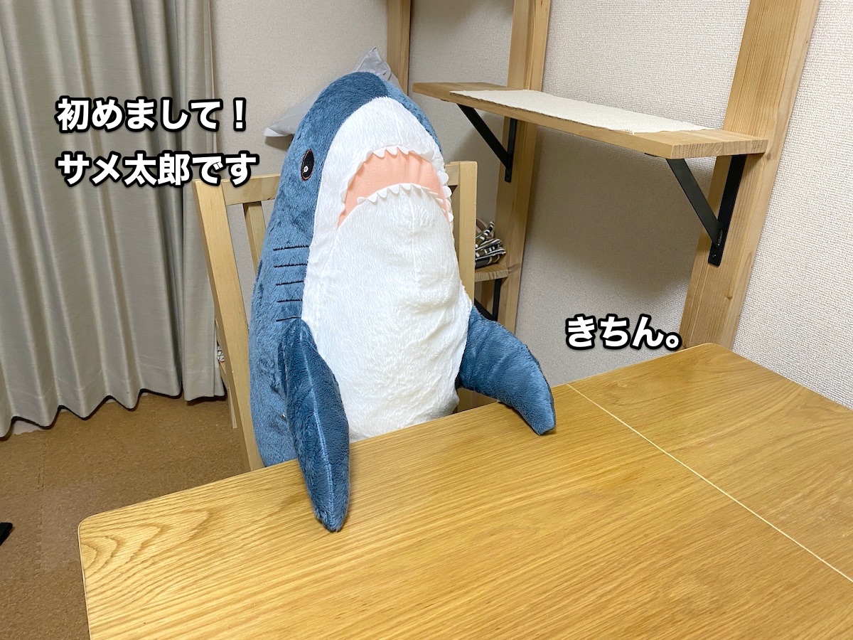 f:id:chikojirou:20200922200548j:plain