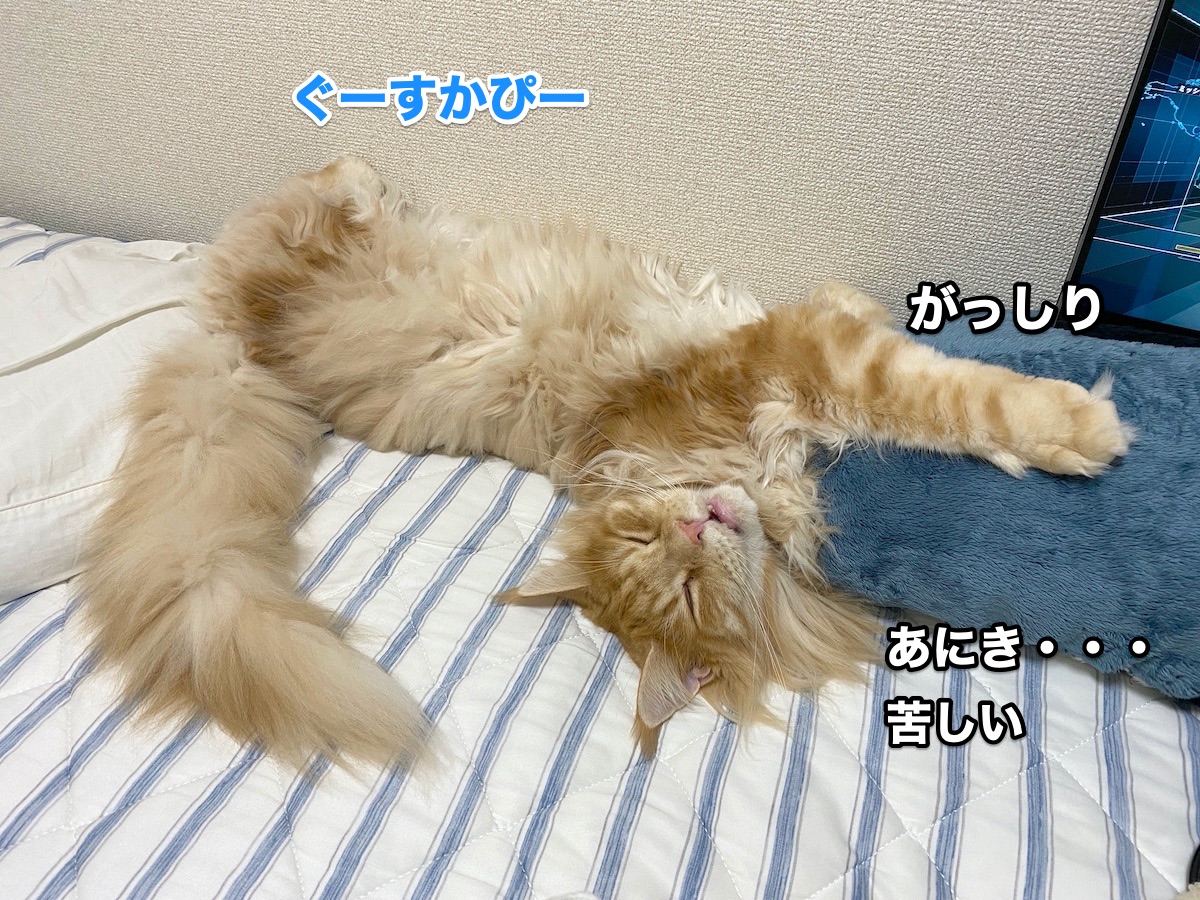 f:id:chikojirou:20200922200613j:plain