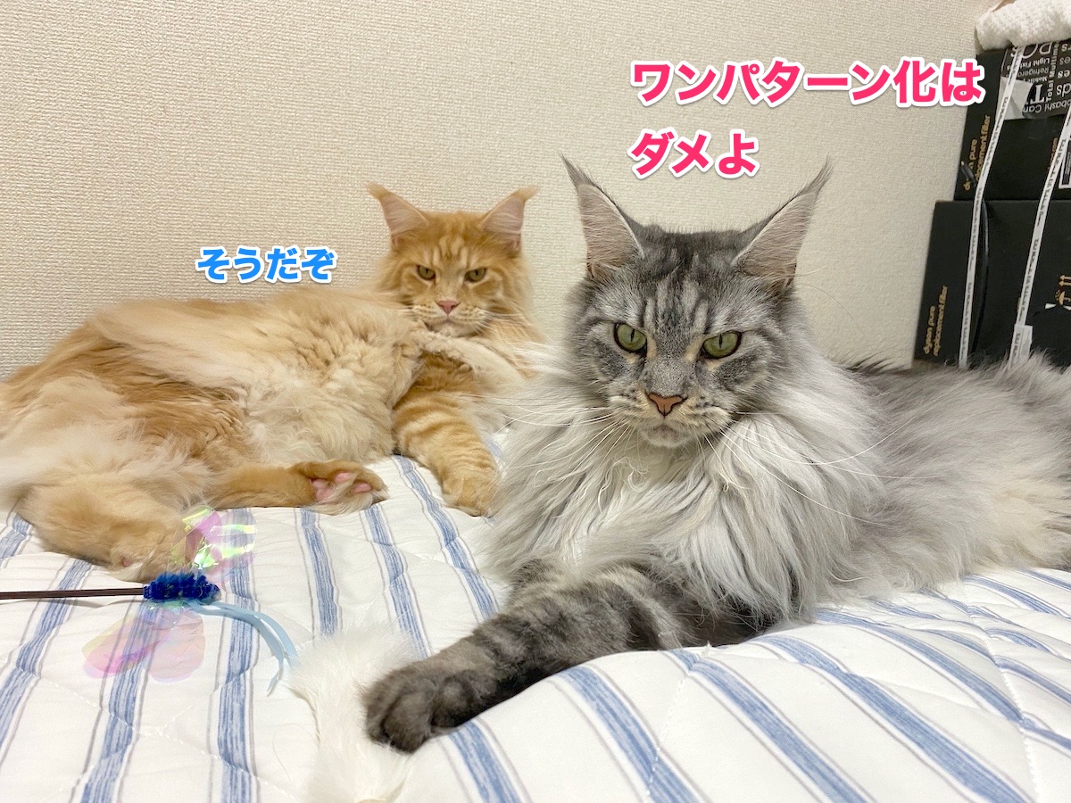 f:id:chikojirou:20200927203633j:plain