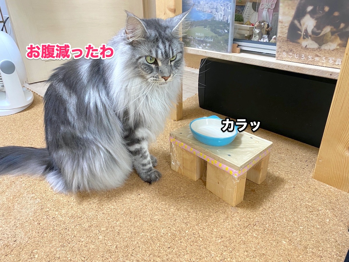 f:id:chikojirou:20200927203637j:plain