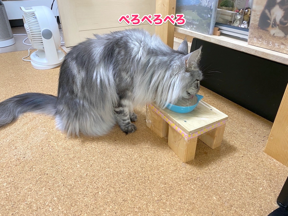 f:id:chikojirou:20200927203641j:plain