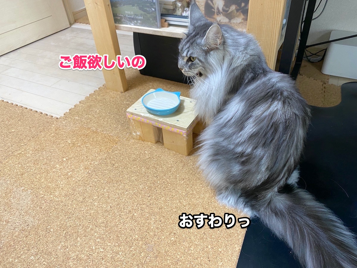 f:id:chikojirou:20200927203645j:plain