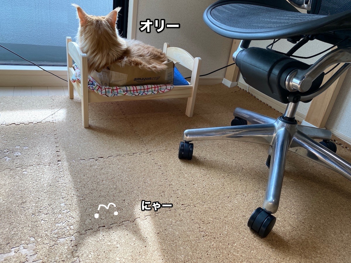 f:id:chikojirou:20200929203338j:plain f:id:chikojirou:20200929203338j:plain